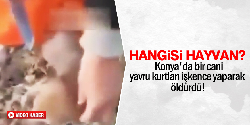 Yavru kurtlara işkence yapıp öldürdü