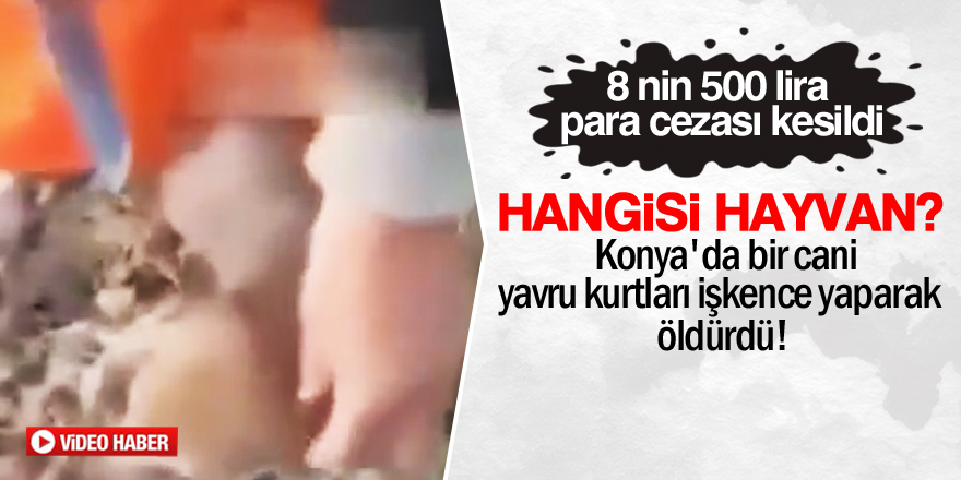 O caniye para cezası verildi!