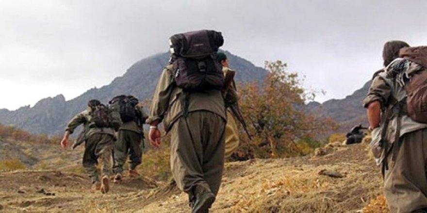 Hakkari ve Şırnak'ta 8 terörist öldürüldü