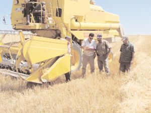 Akşehir'de biçerdöver biçim fiyatı belirlendi