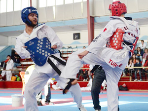 Kulüplerarası Tekvando Şampiyonası sona erdi