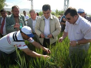 Ereğli'de süne mücadelesi sona erdi