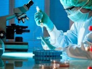 47 ülkede 1335 Türk bilim insanı