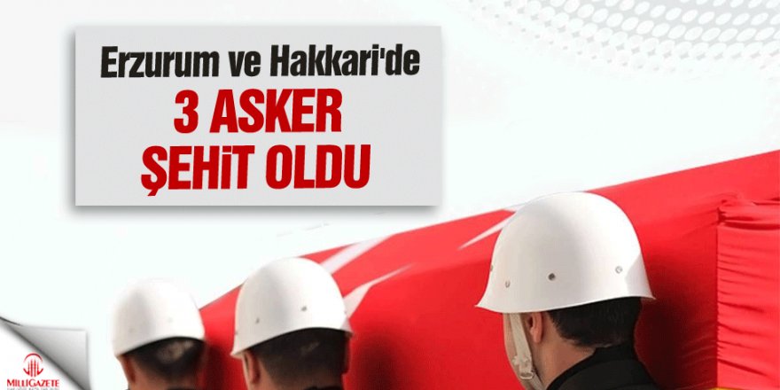 Erzurum ve Hakkari'den üzücü haber