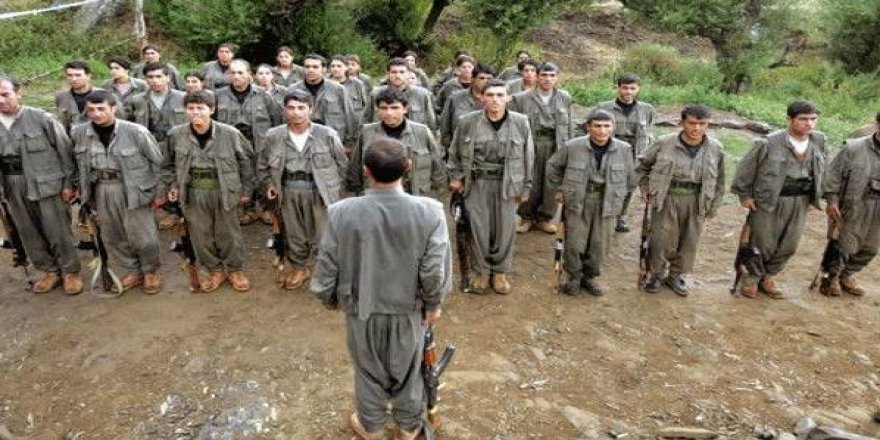 HDP'li belediye PKK'lılara ekmek gönderdi