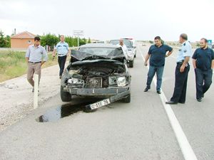 Sürücü büyükbaş hayvan sürüsüne çarptı 