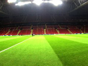 Arena’ya gözlemci yağacak