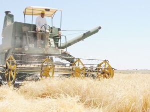 Karaman'da biçerdöver hasat ücretleri belirlendi