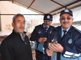 Evinin bahçesinde yaralı şahin buldu