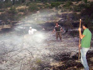 Halkapınar'da yangın korkuttu