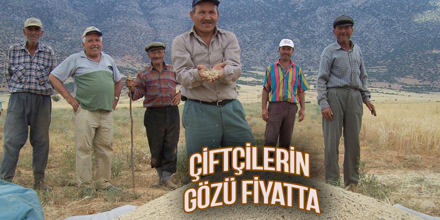 Çiftçilerin gözü fiyatta