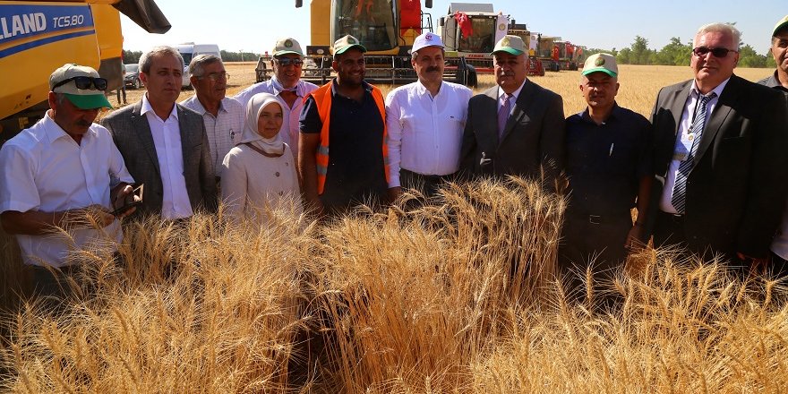 Buğday Taban Fiyatı açıklandı