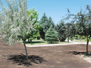 Toprak Sarnıç Parkı yeniden düzenlendi