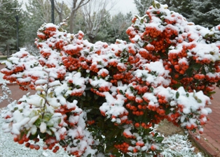 Karaman'da kar yağışı ve sis