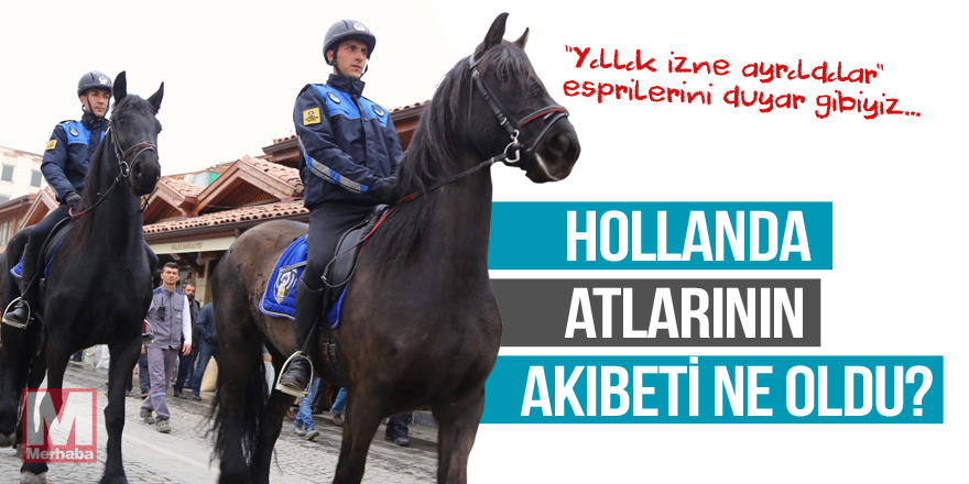 Hollanda atlarının akıbeti merak ediliyor