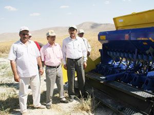 Anıza ekilen hububat, çiftçilere tanıtıldı