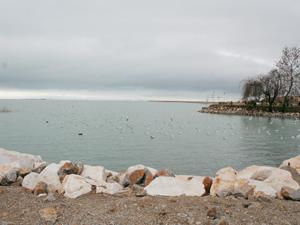 Beyşehir Gölü tabanındaki kurşunlar tehlike saçıyor