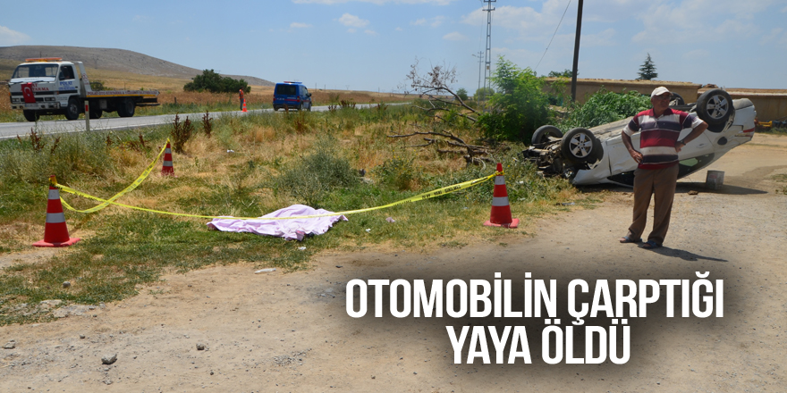 Otomobilin çarptığı yaya öldü
