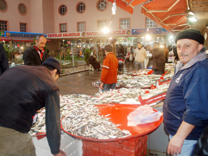 Kar suyu hamsiyi tatlandırdı