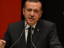 Ankara'da böcek harekatı