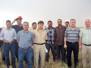 Kanola hasadı yapıldı
