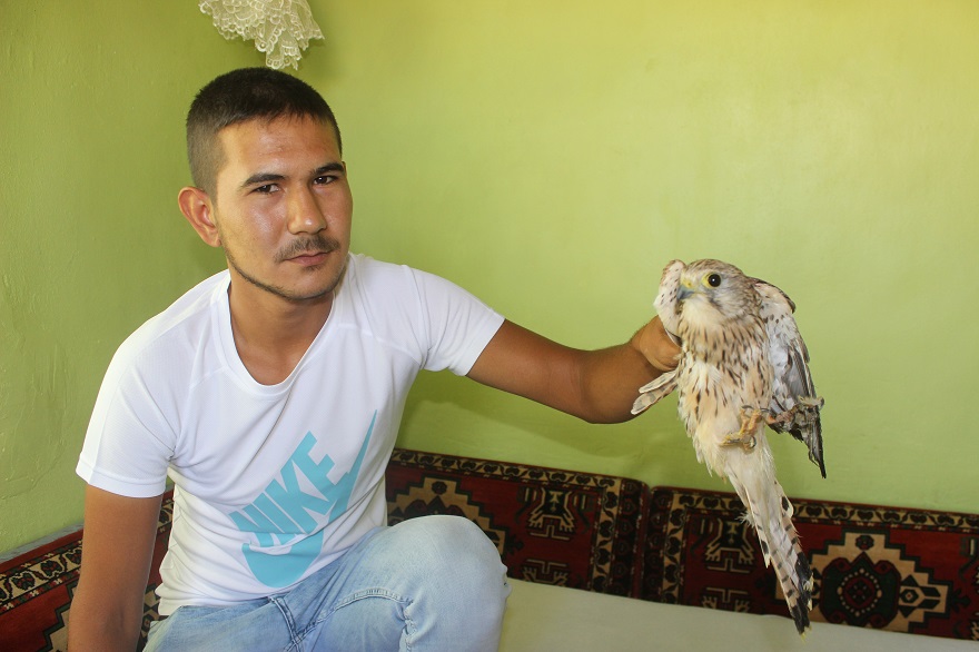 Karapınar'da yaralı kuş tedavi altına alındı