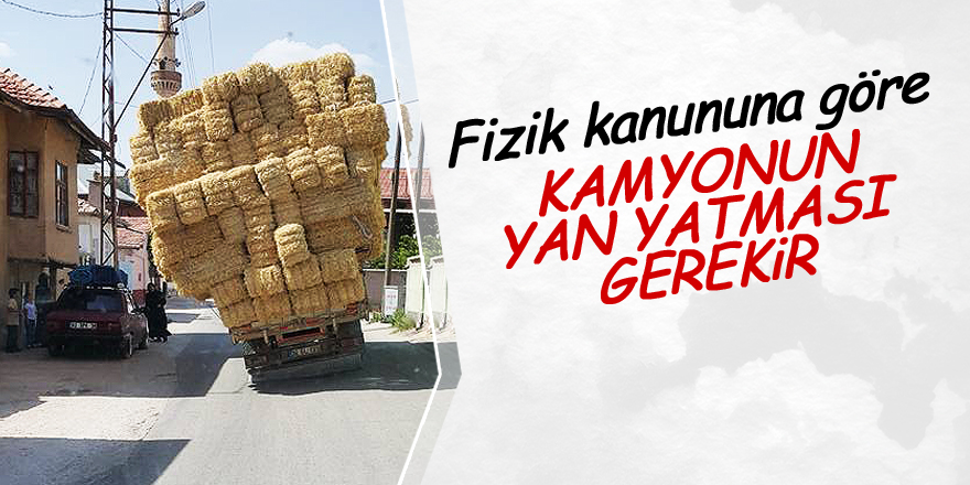 Bu kadarına da pes!