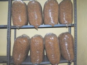 440 kilo kaçak tütün ele geçirildi