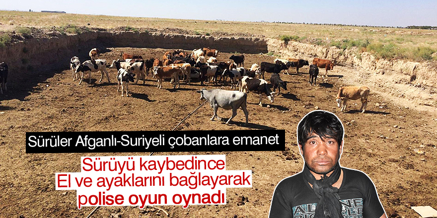 Yalancı çobanı ayak izleri ele verdi