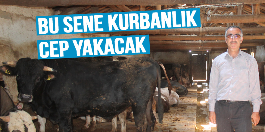 Kurbanlıklar cep yakıyor