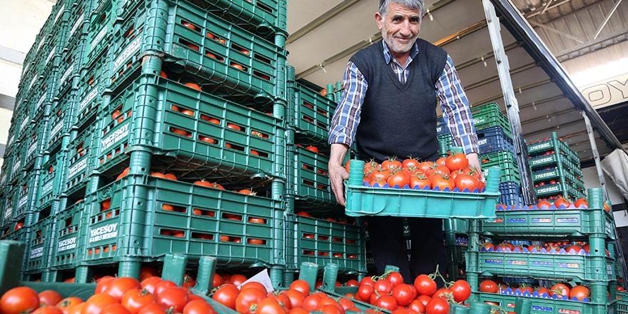 Rusya’dan Türk domatesine izin yok