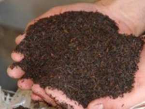 Kaçak çay 30 kat arttı hayvan dışkısı içiyoruz!