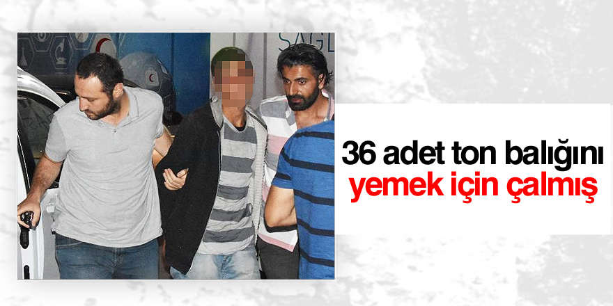 Ton balığı hırsızını güvenlik kameraları yakalattı