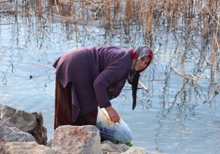 Güneyik otu mesaisi