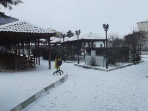 Karapınar'da kar yağışı