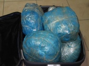Valizden 13,5 kilo esrar çıktı