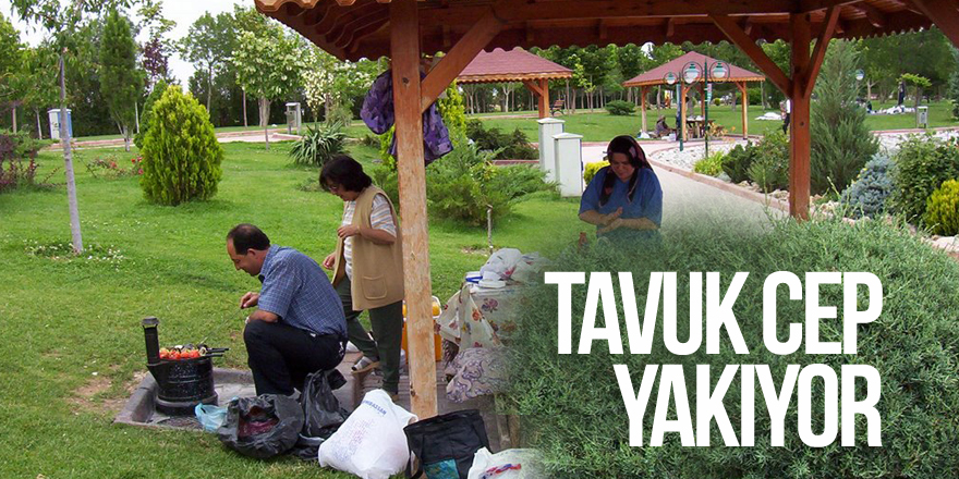 Tavuk cep yakıyor