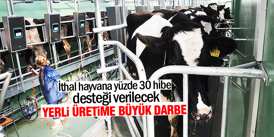 Yerli üretime darbe vurur!