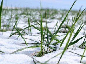 Beyşehir'de çiftçiler kar bekliyor