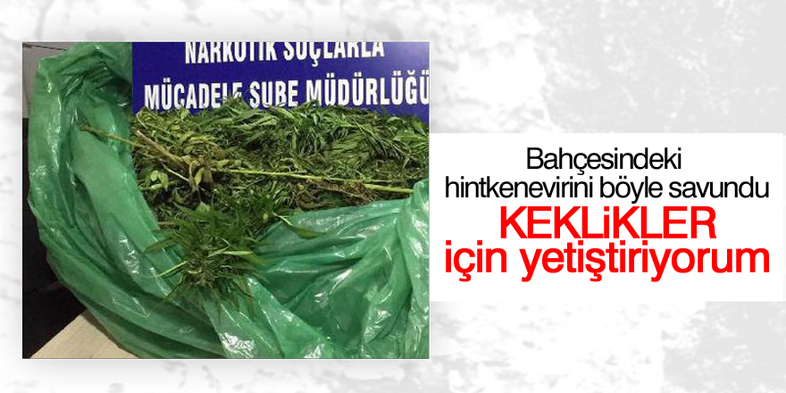 Evinde 11 kilo esrarla yakalandı