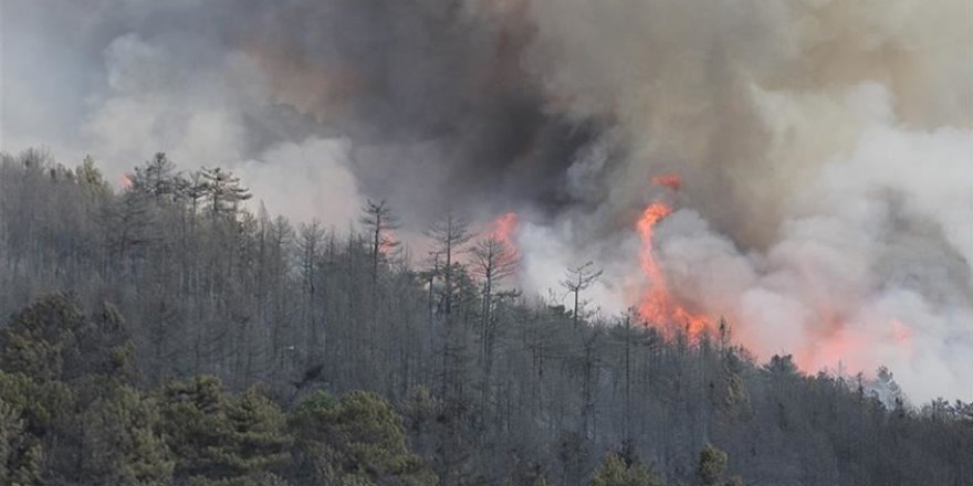 Kütahya'daki orman yangını yeniden başladı