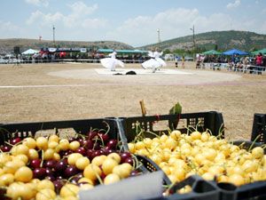 İlmen Beldesinde Kiraz-Çilek ve Kültür Festivali