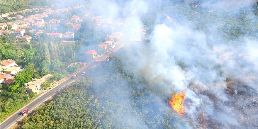 Akşehir'de makilik alanda yangın