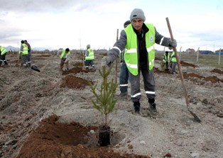 Şeker Konya'yı 4'e katladı