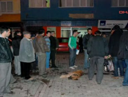 Polis sokak köpeğine kurşun yağdırdı