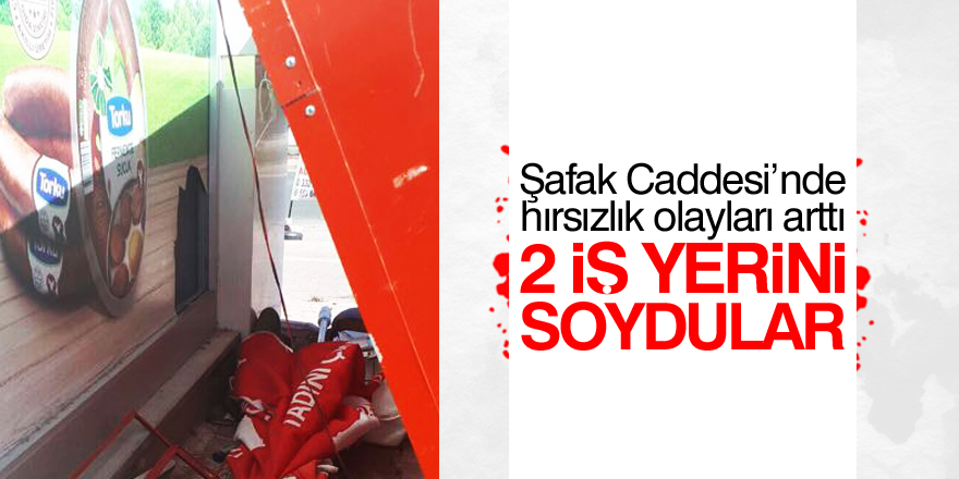 2 iş yerini soydular