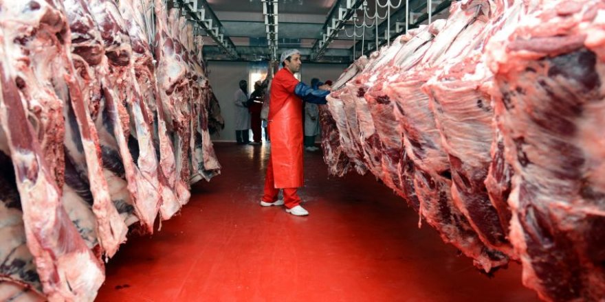 Erdoğan: 'Sırbistan'dan 5 bin ton et ithal edeceğiz'