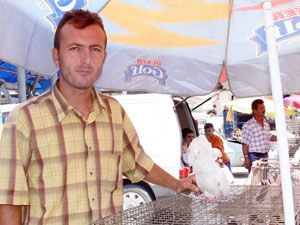 Kuş Pazarı stres atmak için en güzel yer
