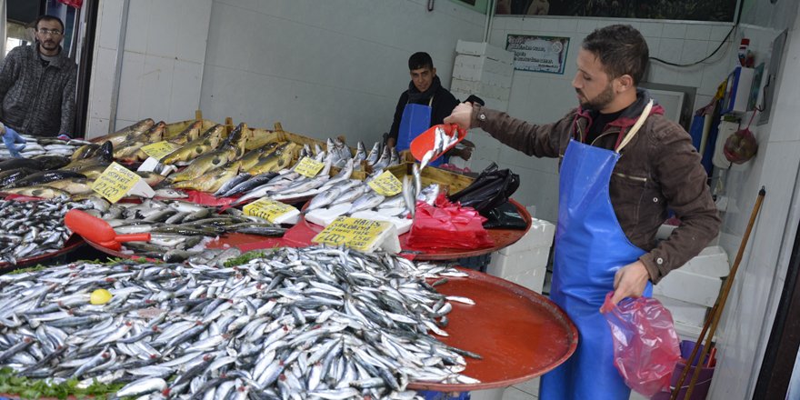 Tezgahlar Karadeniz hamsisini bekliyor