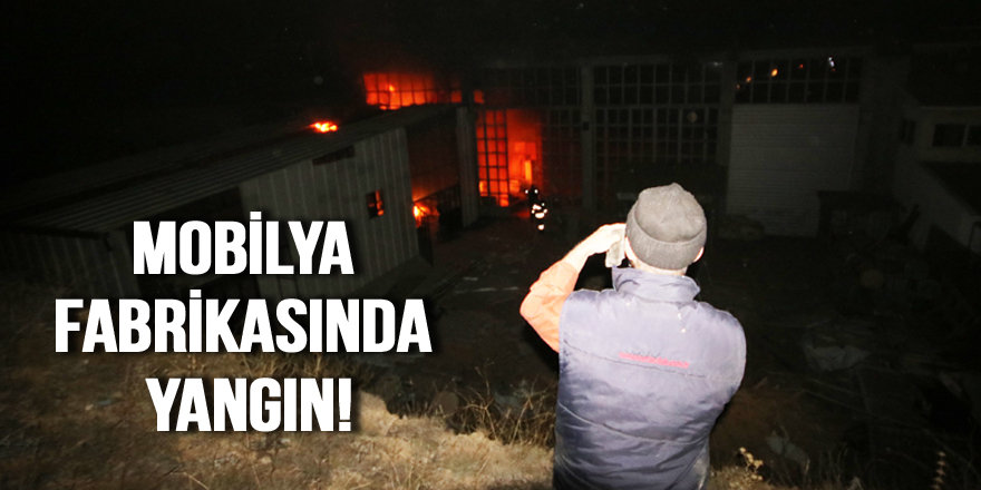 Beyşehir’de mobilya fabrikasında yangın